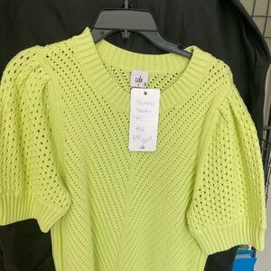 White House Black Market Light Green Crew Neck Sweater